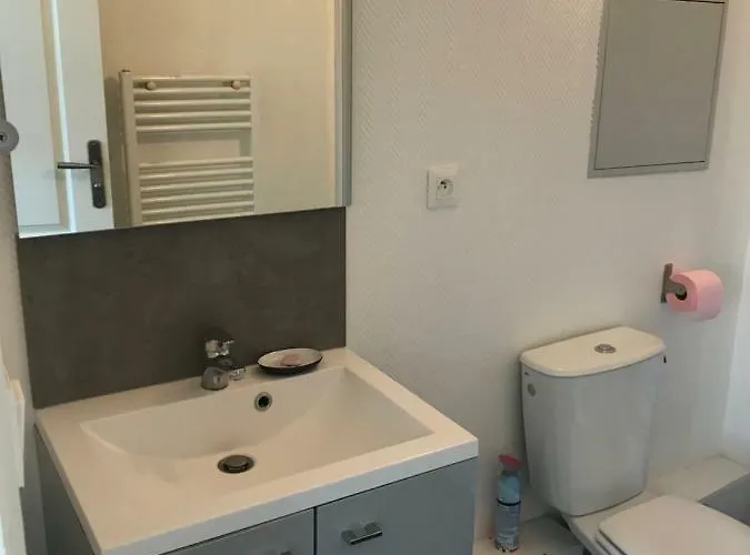 Apartament T1bis Meuble Confort Tours